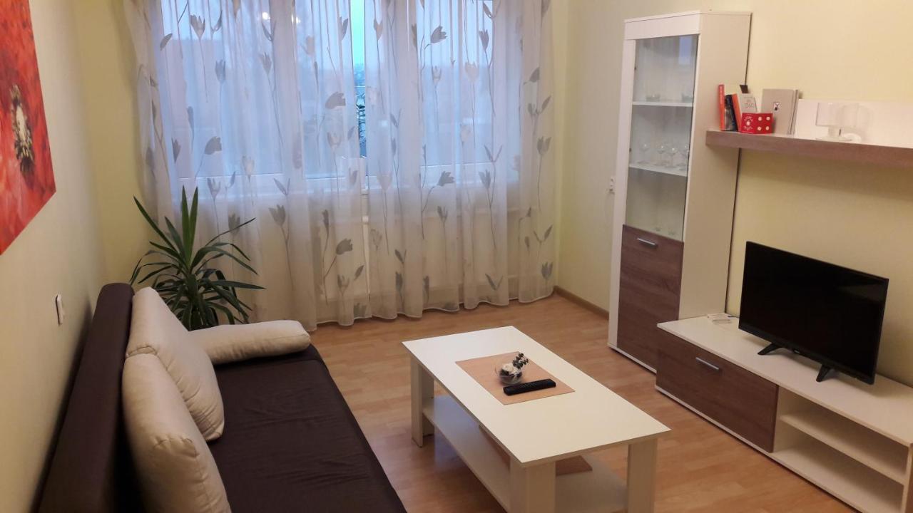 Panevėžys Grazinos Apartamentai 아파트 외부 사진